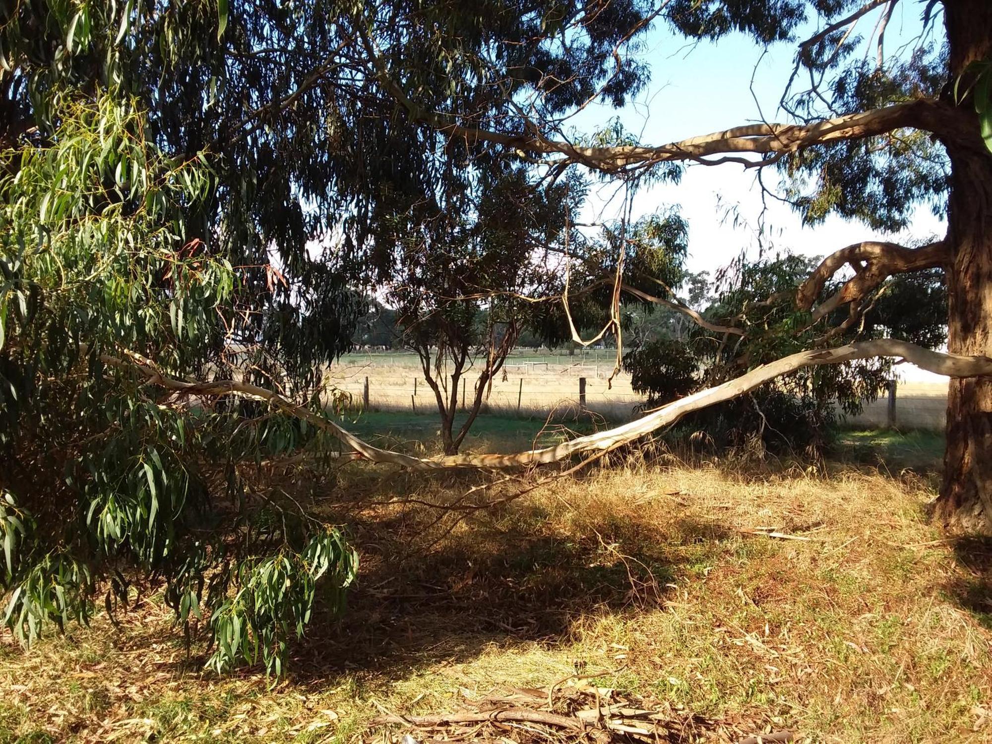 Hobreid Park * Woodend